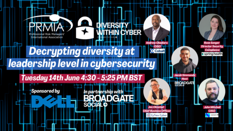 Webinar 14  Decrypting Diversity At Leadership Level In Cybersecurity